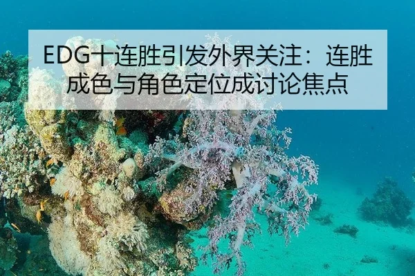 EDG十连胜引发外界关注：连胜成色与角色定位成讨论焦点